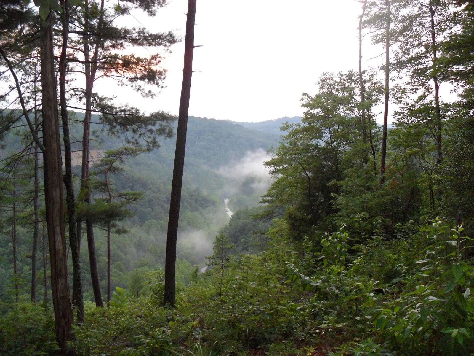 Kentucky Backroad Vagabond Red River Gorge Driving Tour