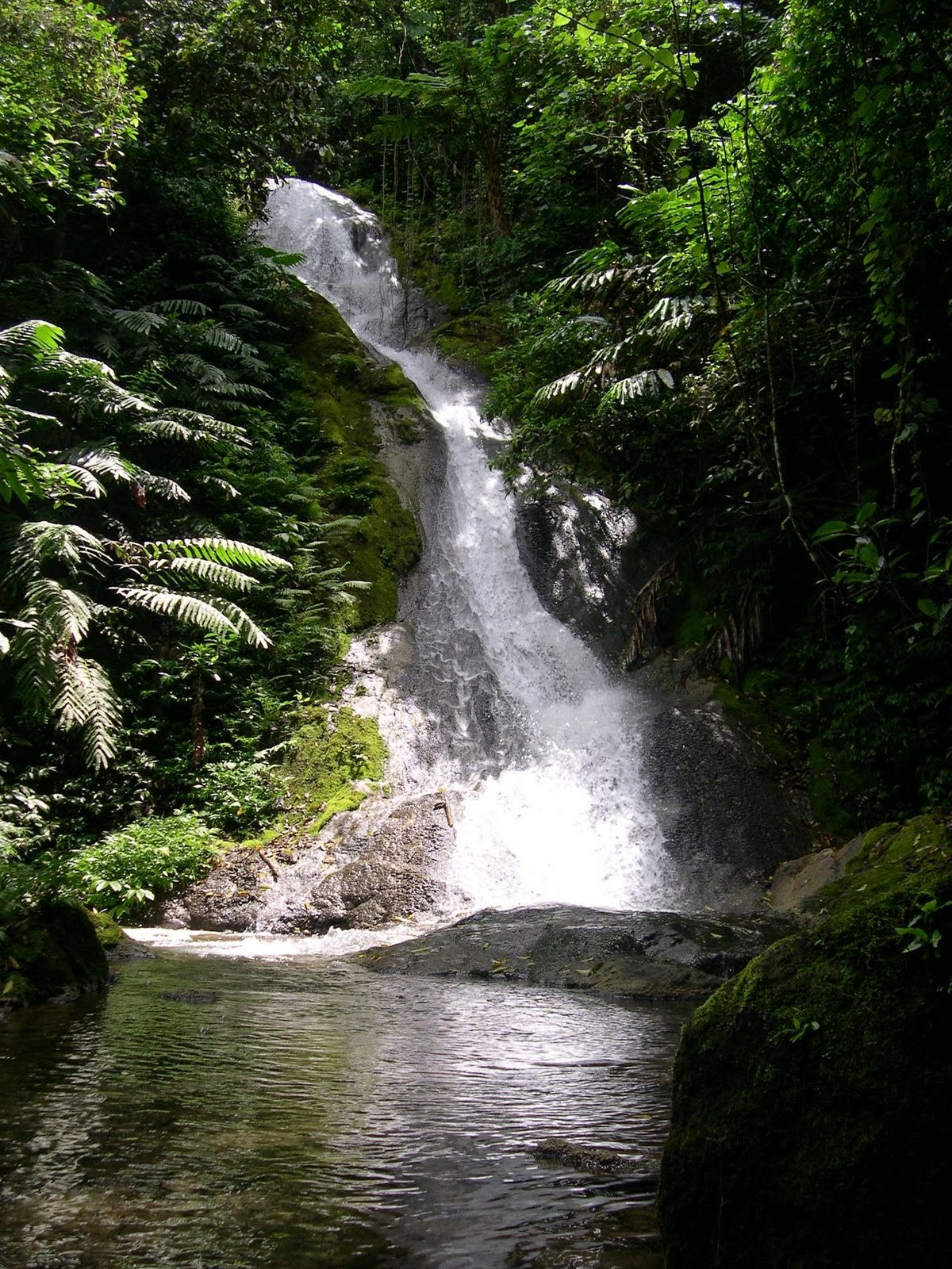 Islas del Mundo Malakula