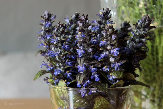 Raumfee Page 37 Chan 6647220 Rssing Com