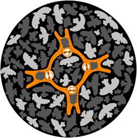 logo fondation orange