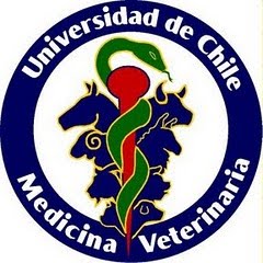 veterinary Medicine