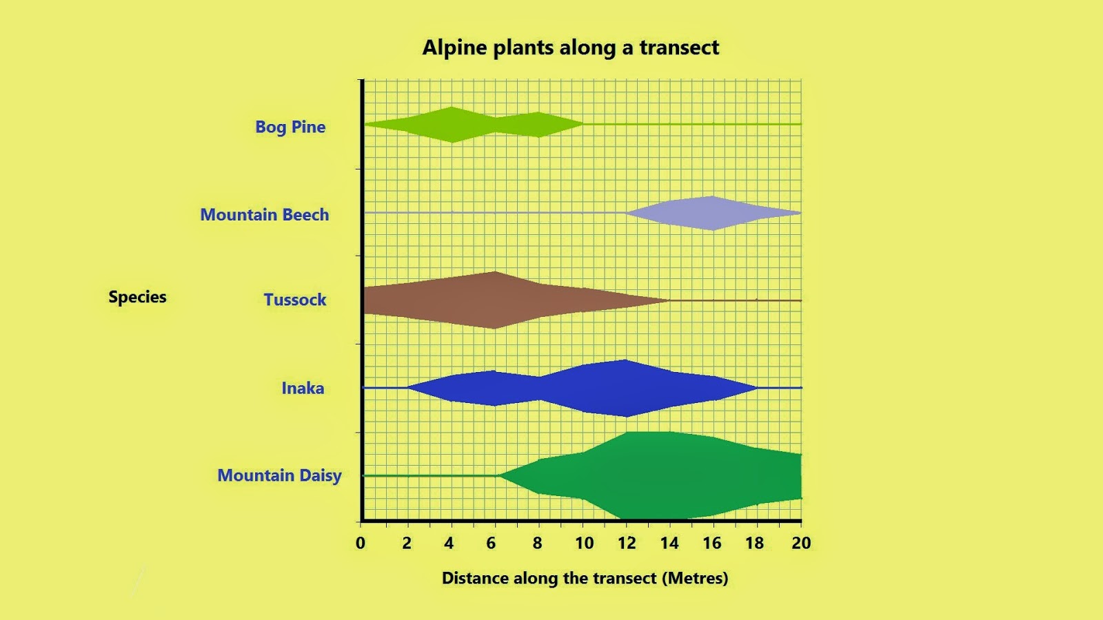 Bio 200 Kite Diagrams and Sampling