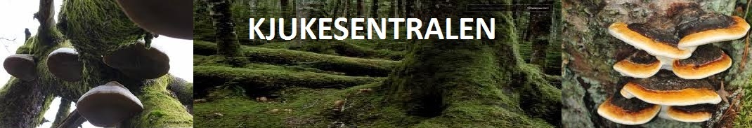 Kjukesentralen