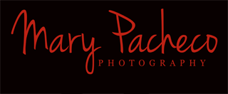 Mary Pacheco Photography Blog