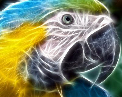 Wallpaper HD Cool hd Wallpaper