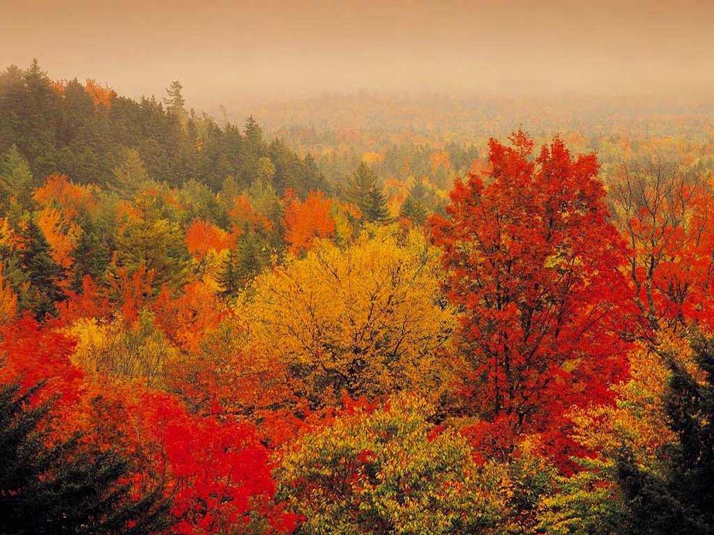 Compartiendo Fondos 70 Paisajes En Hd Para Fondos De | compartiendo fondos 70 paisajes en hd para fondos de Compartiendo Fondos 70 Paisajes En Hd Para Fondos De | compartiendo fondos 70 paisajes en hd para fondos de