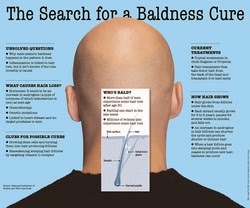 Research for a cure to Baldness