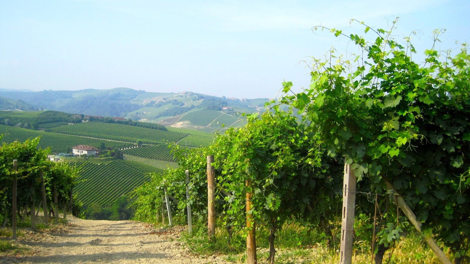 Kvell in the Kitchen To the Slow Food movement A culinary adventure