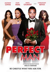 The Perfect Man (2011) Hollywood Movie Watch Online The Perfect Man (2011)
