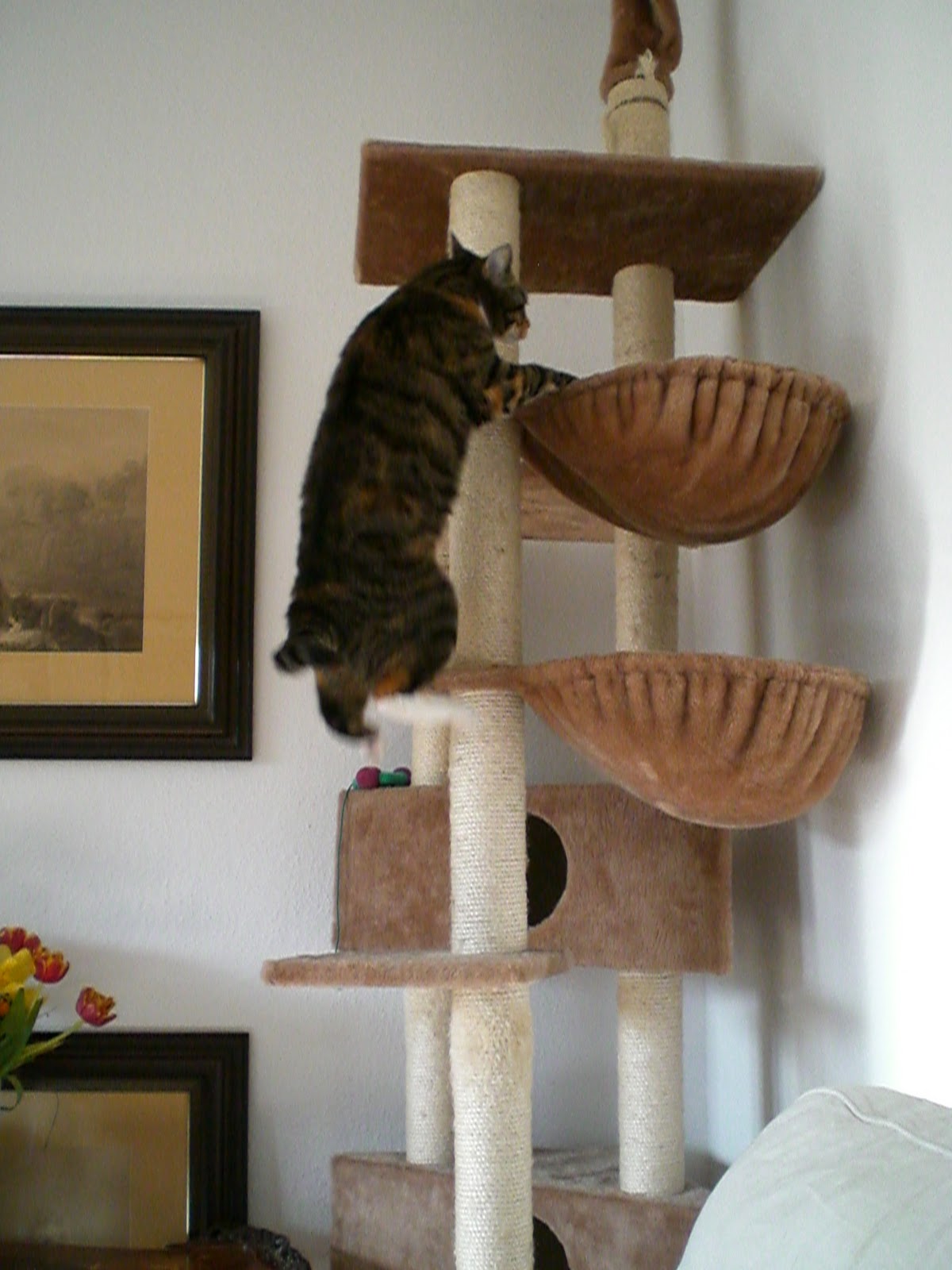 とらふぐノート リーブリング