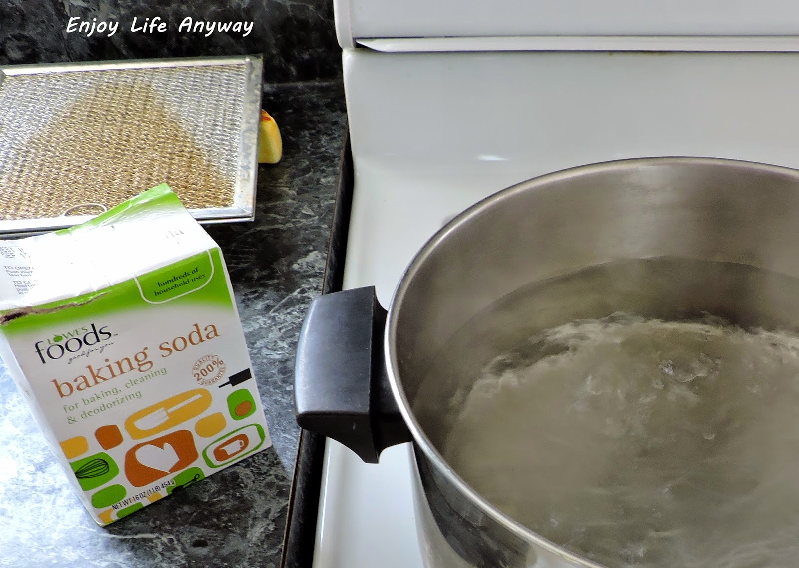 Enjoy Life Anyway Easy Way to Really Clean That Greasy Stove Hood Filter
