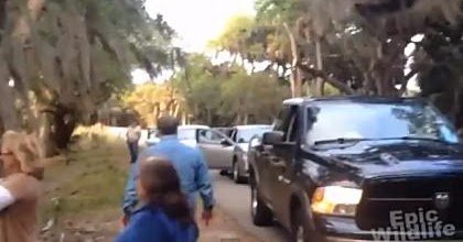 Bigfoot Evidence: Watch: What is the Myakka Skunk Ape?