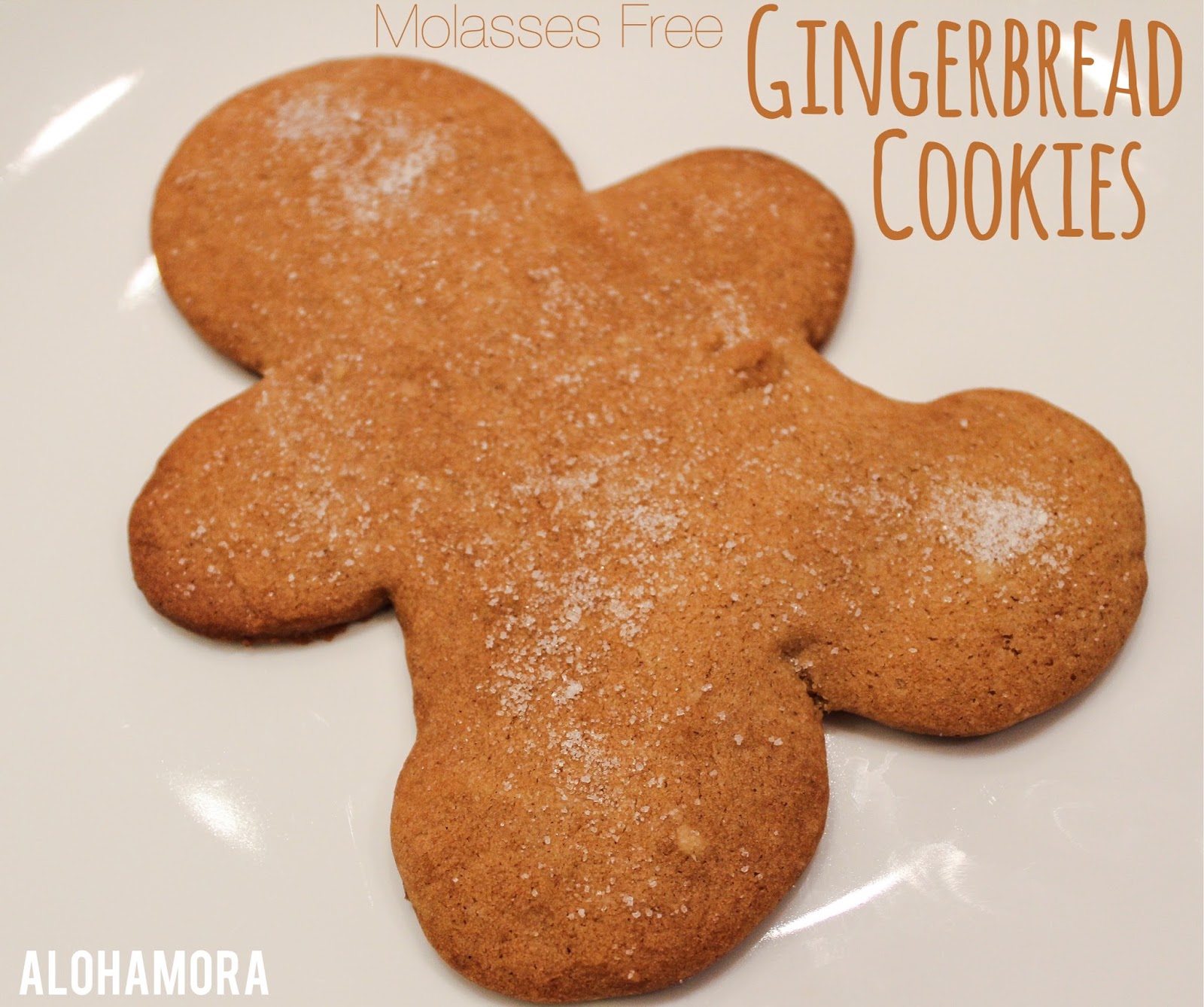 Alohamora Open a Book Molasses Free Gingerbread Cookies