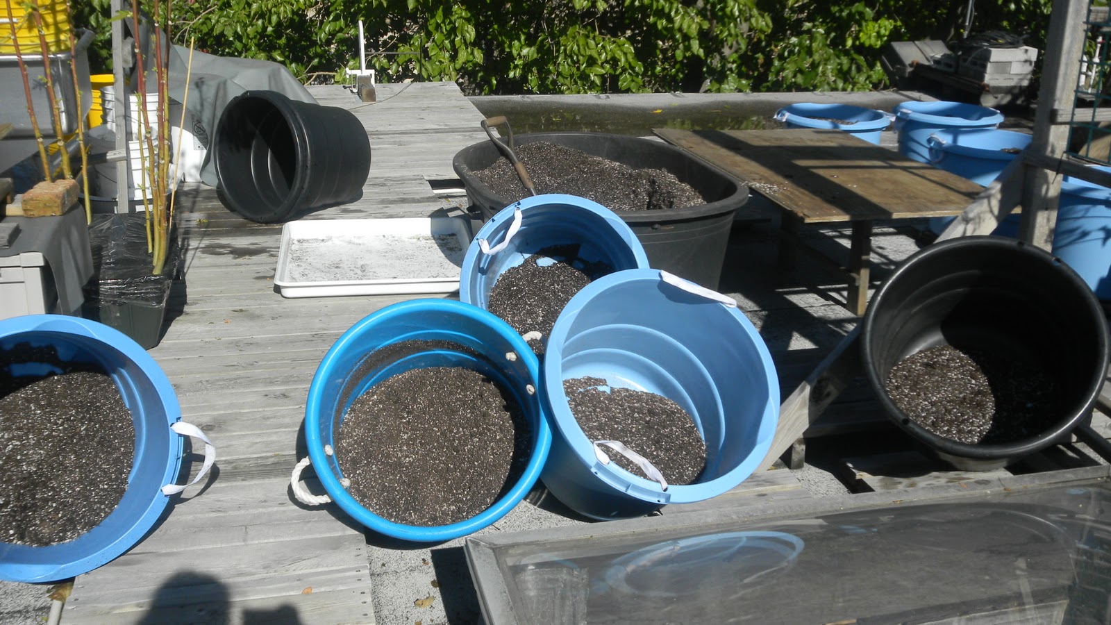 Green Roof Growers Drying Out Potting Mix in Fall
