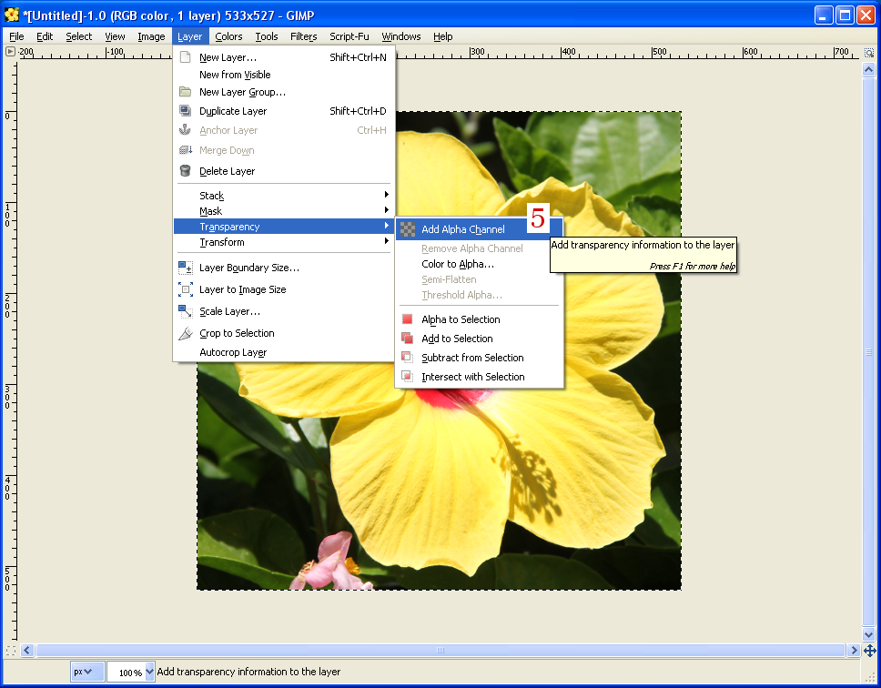 Clown Fish Cafe GIMP 2.8 Tutorial Which Tool Should I Use to Cut Out