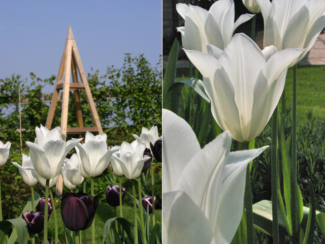 Modern Country Style: Small Gardens: How To Choose The Best Garden ...