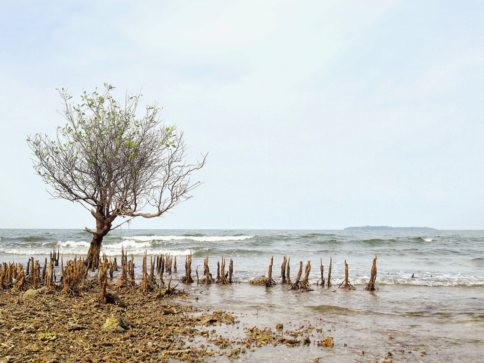 Blog: Daryanto: Bertaruh Dengan Cuaca, Wisata Pulau Tunda