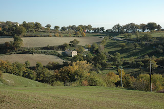 la recinzione alberata dei campi the fence, tree-lined fields