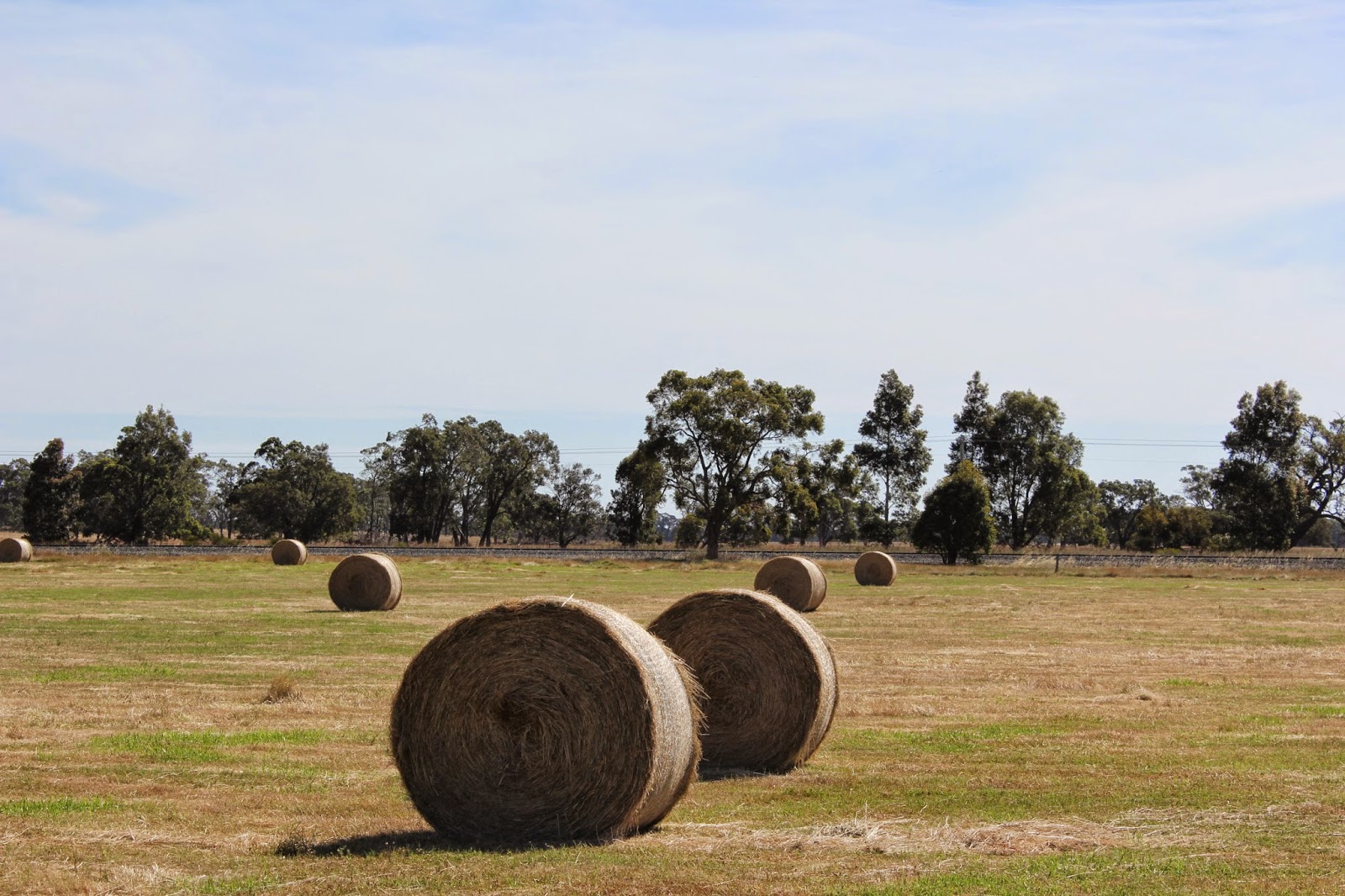 A Really, Really Free Market