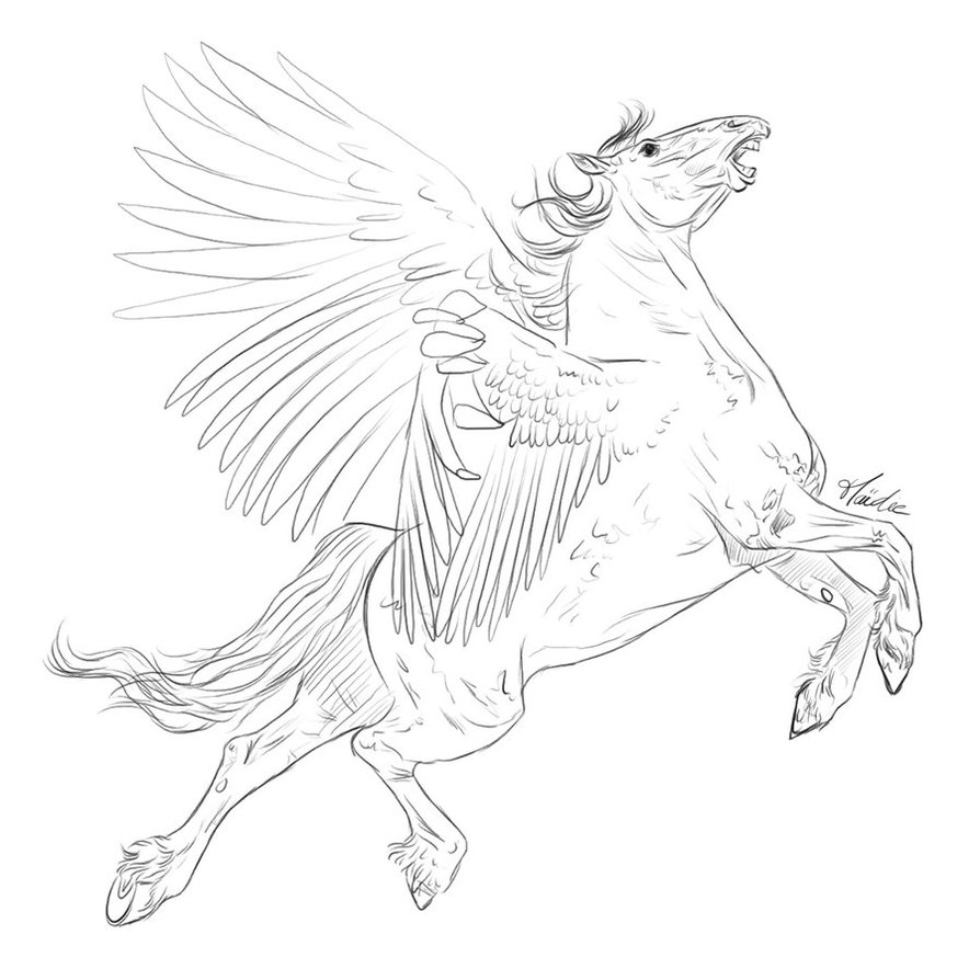 Winged Horses Of Balinor Characters Horse Lineart For Whob