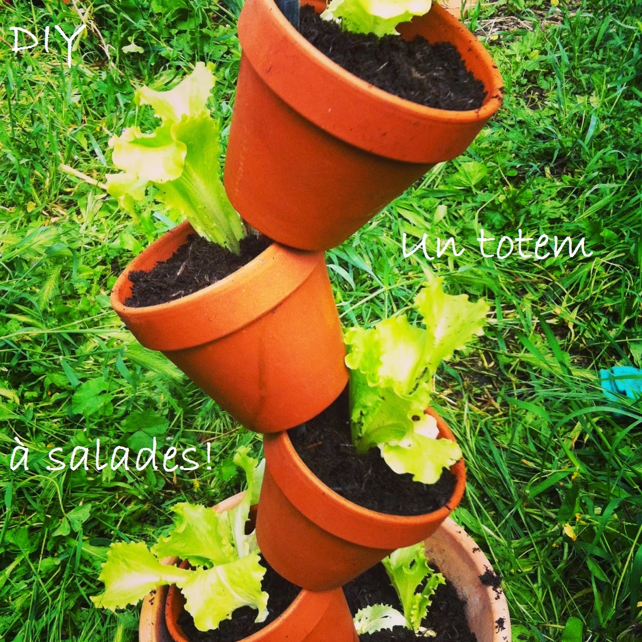 Initiales gg ... : {jardin} 9 tutoriels bucoliques pour un jardin ...