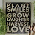 Plant Smiles