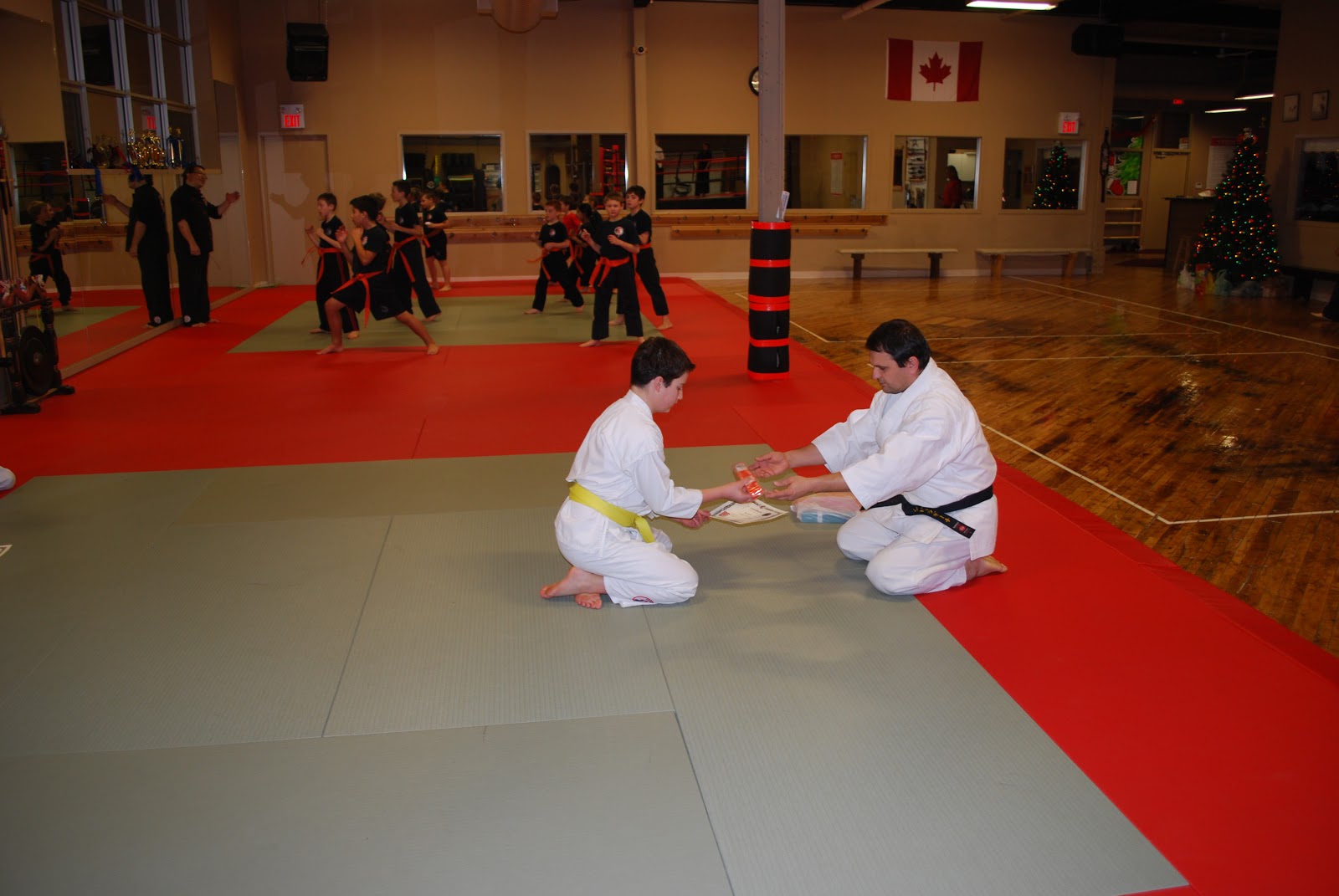 Kitchener Kicks News December 2012