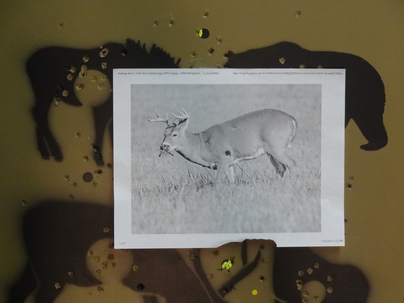 Bowhunting What To Do During the "Off" Season Part 2