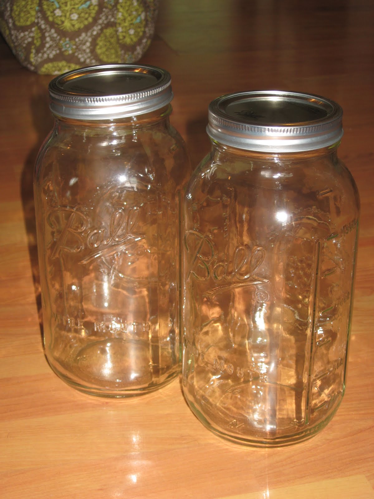 Two Much My Life with Twins + 1 Buying a Gallon of Vodka