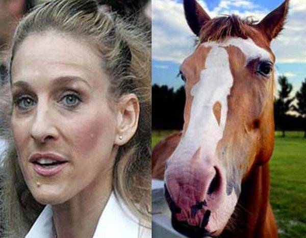 sarah-jessica-parker-looks-like-a-horse-12.jpg