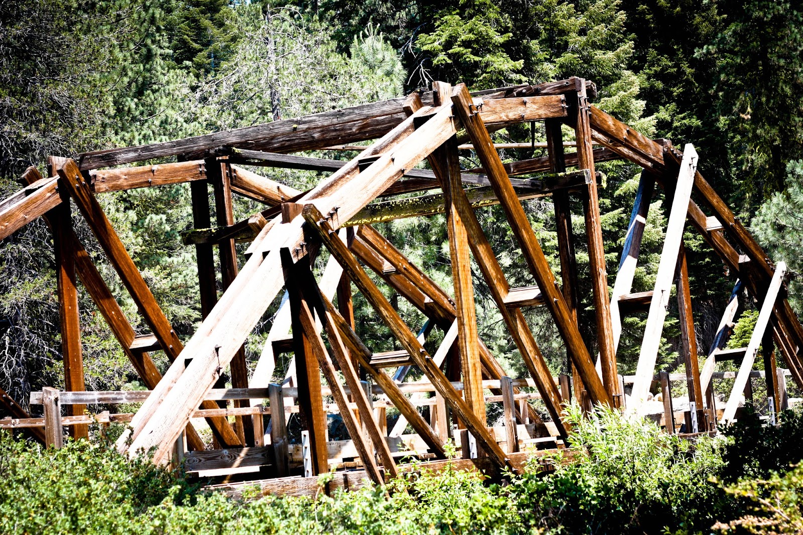 Life of Tracy Dinkey Creek 2013