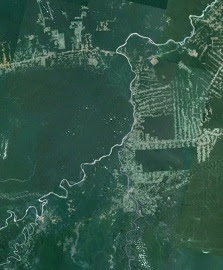 Expanded view of Pando Department of Bolivia from GoogleEarth.