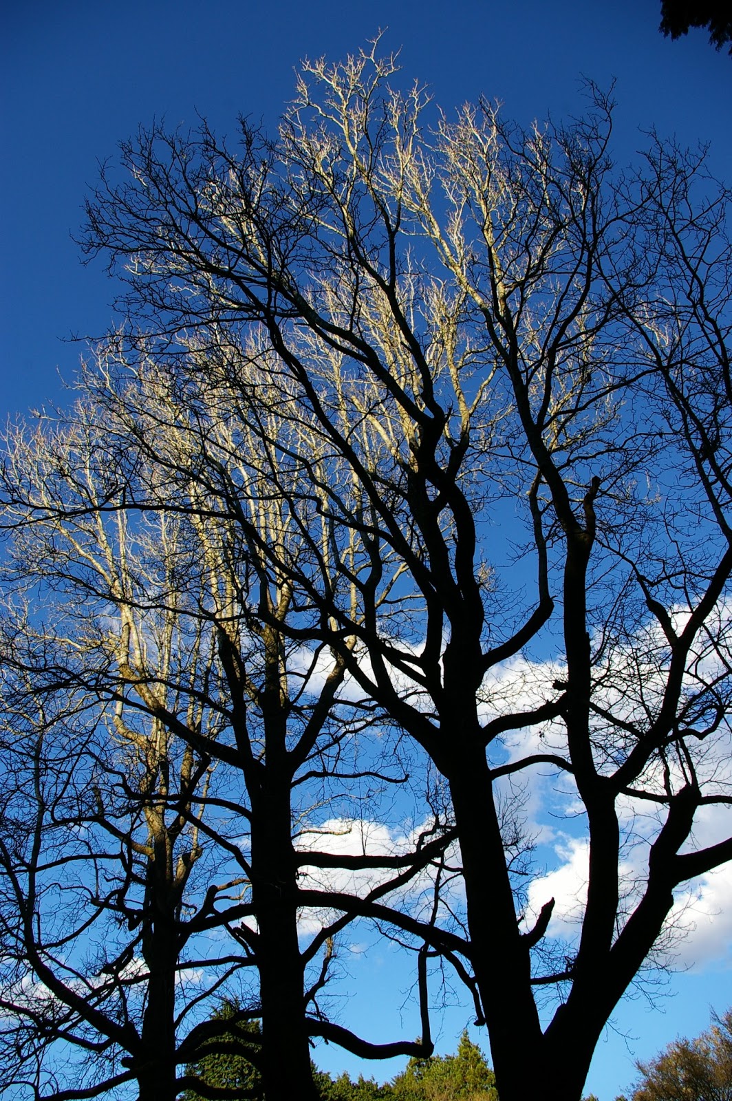 は の字日記 4月 13