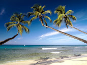 #20 Barbados Island Wallpaper