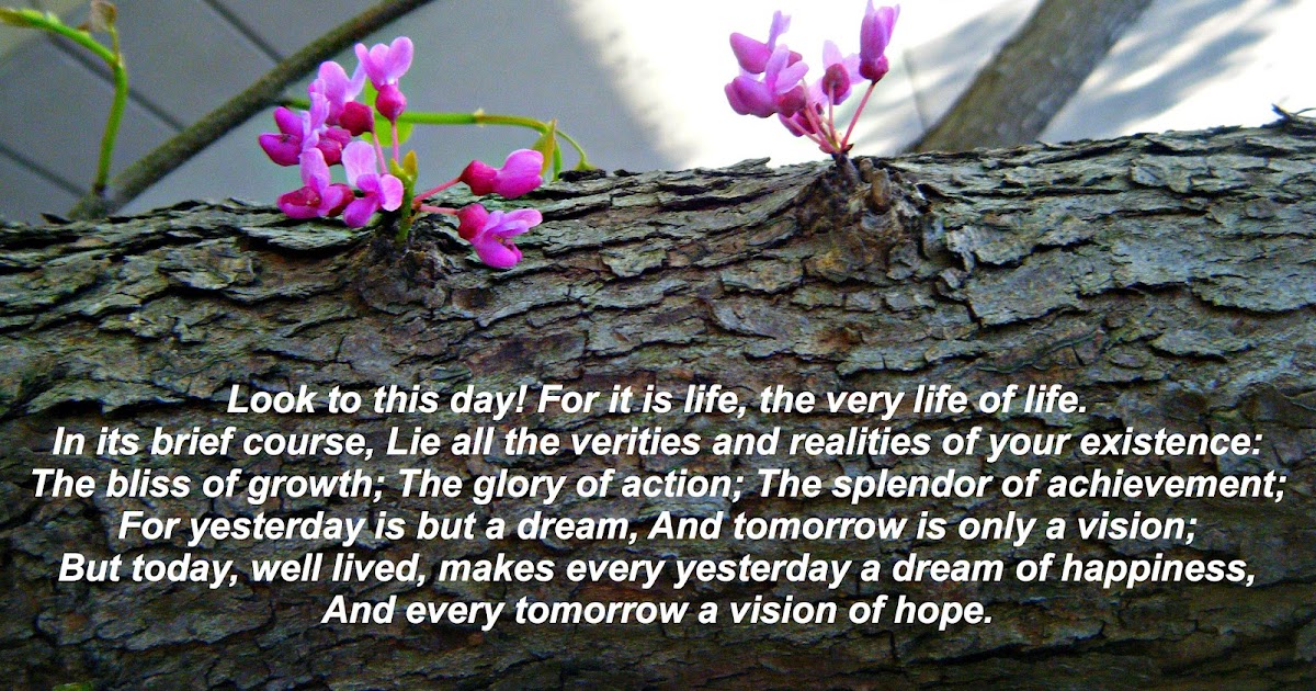 Flowery Blessing: Look to this day! For it is life, the very life of