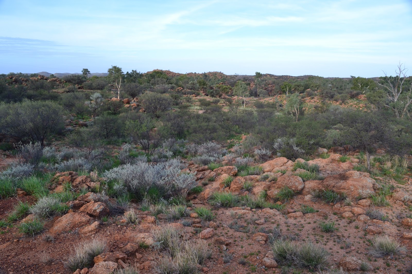 Goin' Feral One Day At A Time Bradshaw Walk, Alice Springs Telegraph