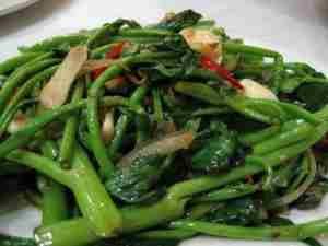 Masakan Dari Kangkung Bahaya Makan Kangkung Masakan Dari Kangkung Bahaya Makan Kangkung