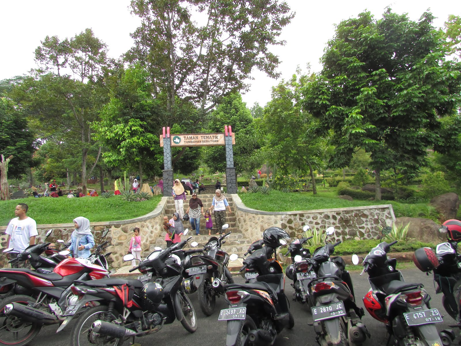 Taman Kuning Kebun Raya Kuningan Jawa Barat