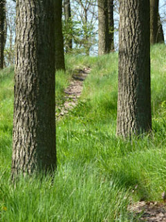 Rheingauer Weinwoche Deko Hoch Drei