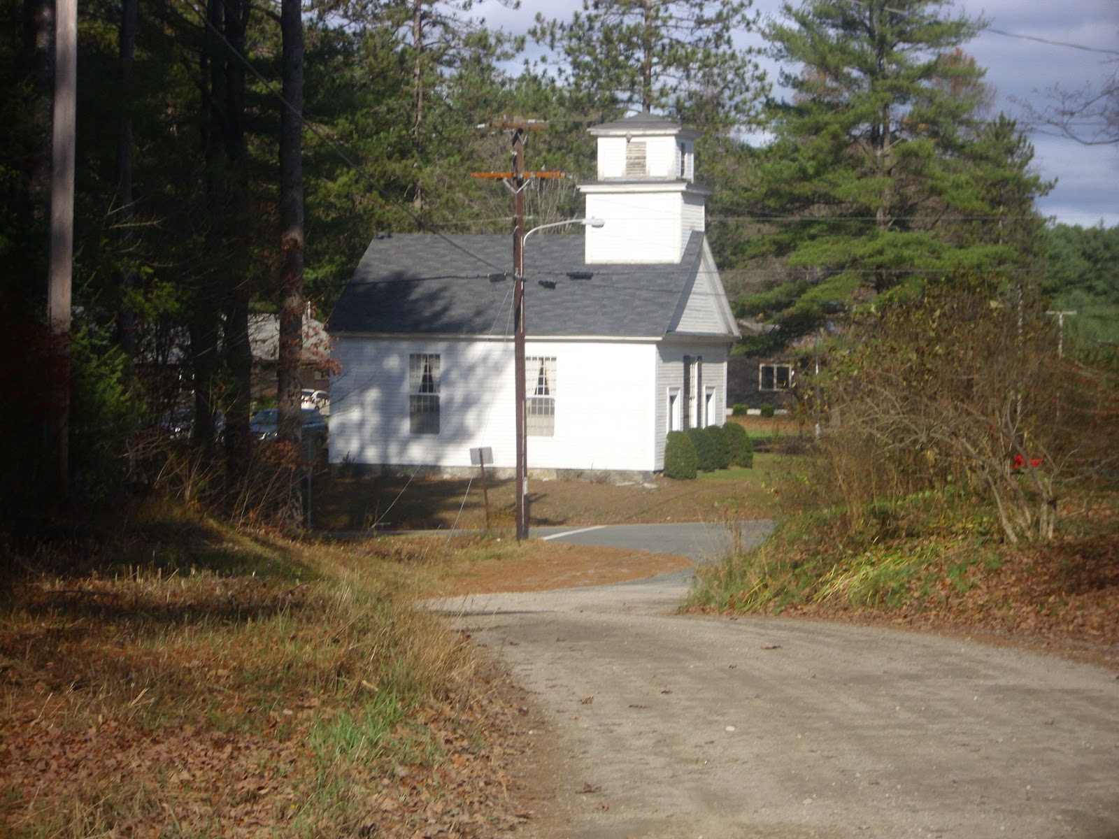 View from Lake Wyola Photos of the east side of Lake Wyola (Shore