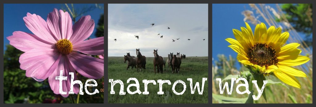 The Narrow Way