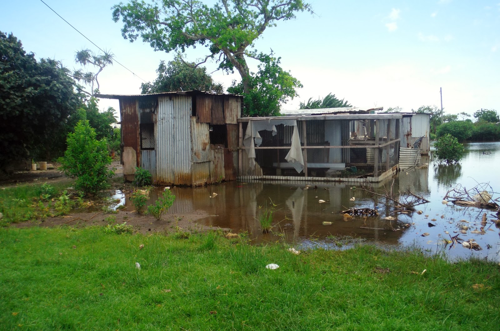 Testimonies from Tonga TONGAN HOUSES