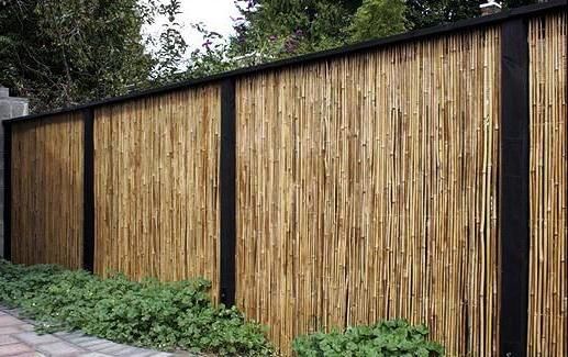 Desain Pagar Bambu Unik Cantik Minimalis Sederhana Desain Pagar Bambu Unik Cantik Minimalis Sederhana