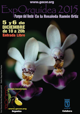 exporquidea 2015 exporquidea 2015
