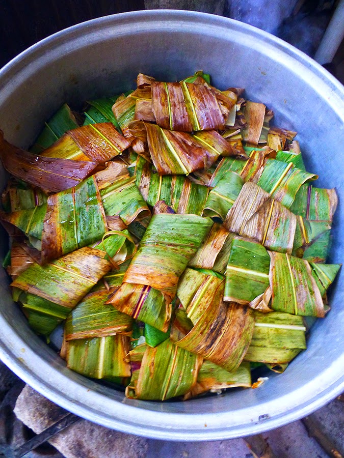 OaxacaThe Year After Tamales in Teotitlan del Valle