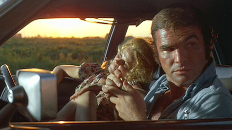 Watch Gator Online Fandango Games Watch Gator Online Fandango Games