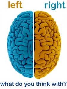 left brain vs the right brain essay left brain vs the right brain essay