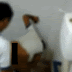 CASAL DE JOVENS SÃO FLAGRADOS FAZENDO SEXO EM BANHEIRO DE ESCOLA PÚBLICA.