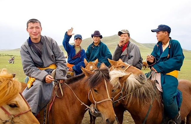 Mongolian Horses Seen On www.coolpicturegallery.us