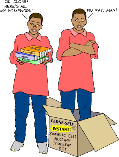 instantclones.gif
